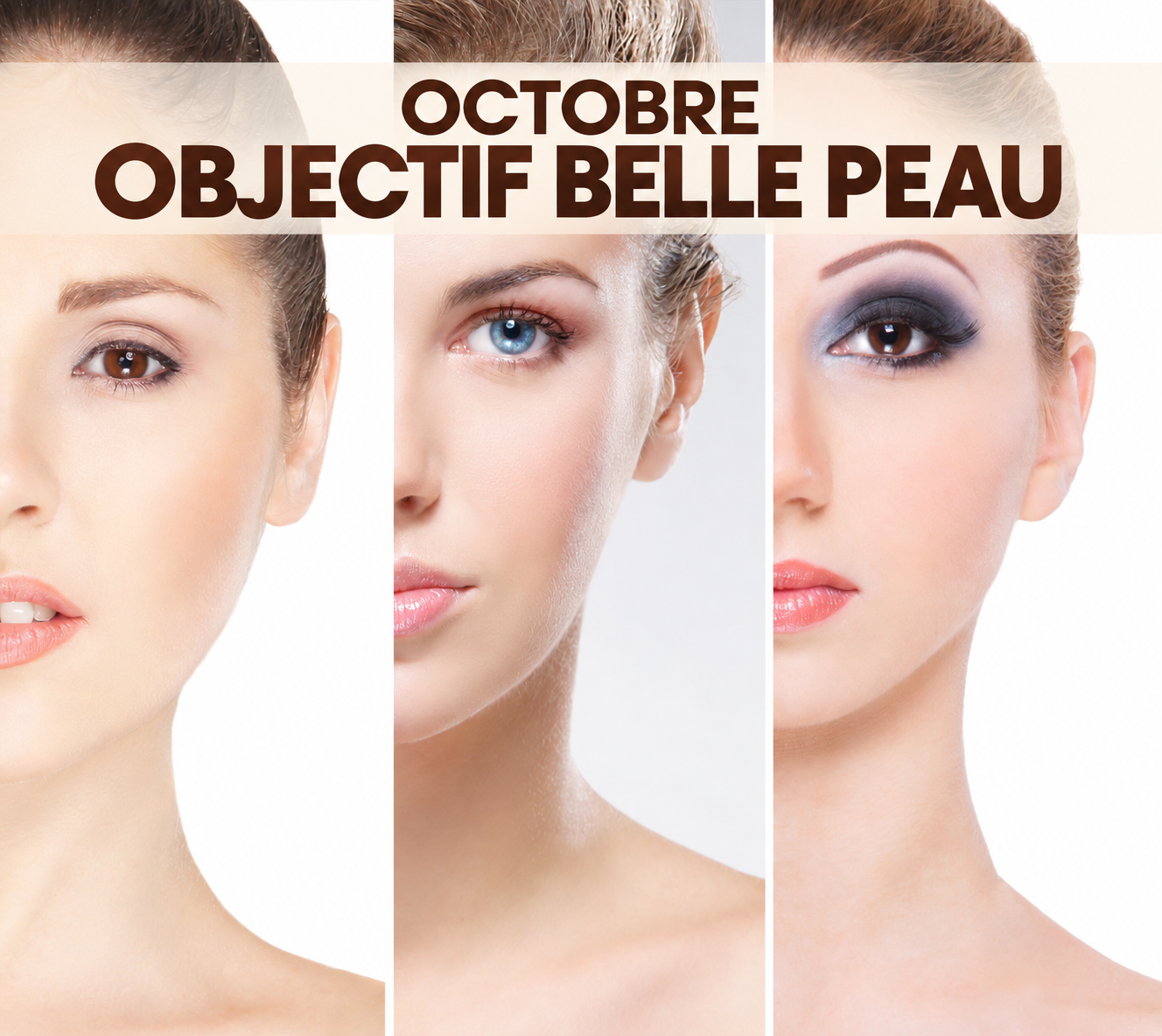 Offre belle beau Limoges